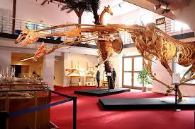 Plastinarium