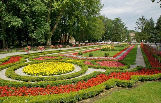 Park solankowy