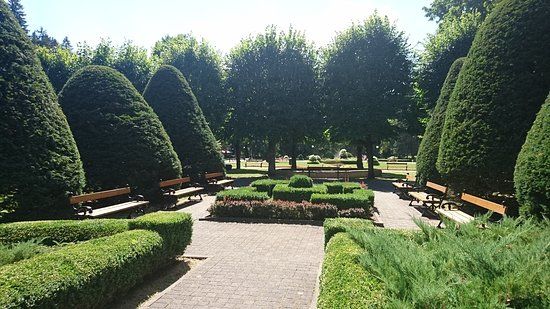 Park Zdrojowy