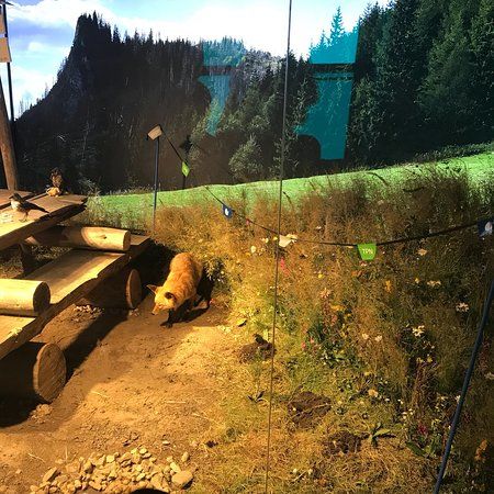 Muzeum Przyrodnicze Tatrzańskiego Parku Narodowego w Zakopanem