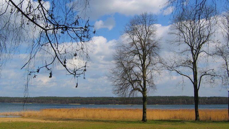 Niesłysz