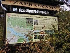 Rezerwat przyrody Modrzewie