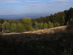 Wdżary Wyżne