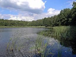 Jezioro Linie Małe
