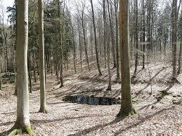 Rezerwat przyrody Kamienna Góra