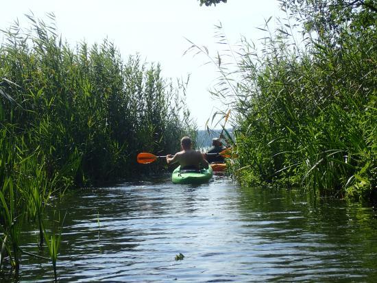 As Tours - Kayak Expeditions & Rental