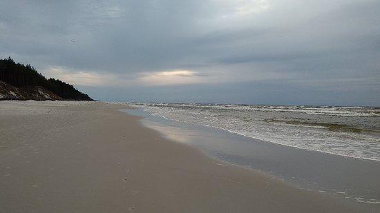 Plaża Dębki