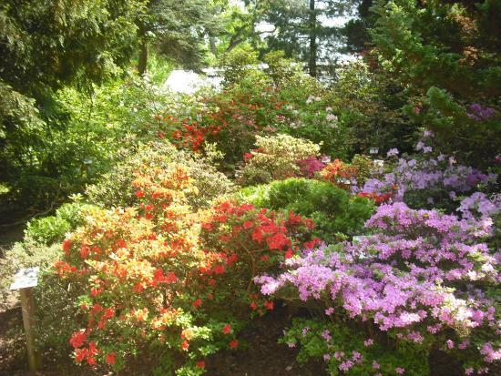 Arboretum Wirty