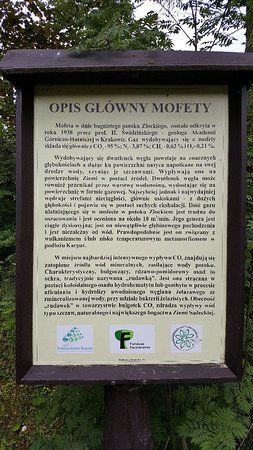 Mofeta w Złockiem imienia Profesora Henryka Świdzińskiego