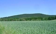 Brzeźnica