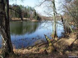 Wdecki Park Krajobrazowy