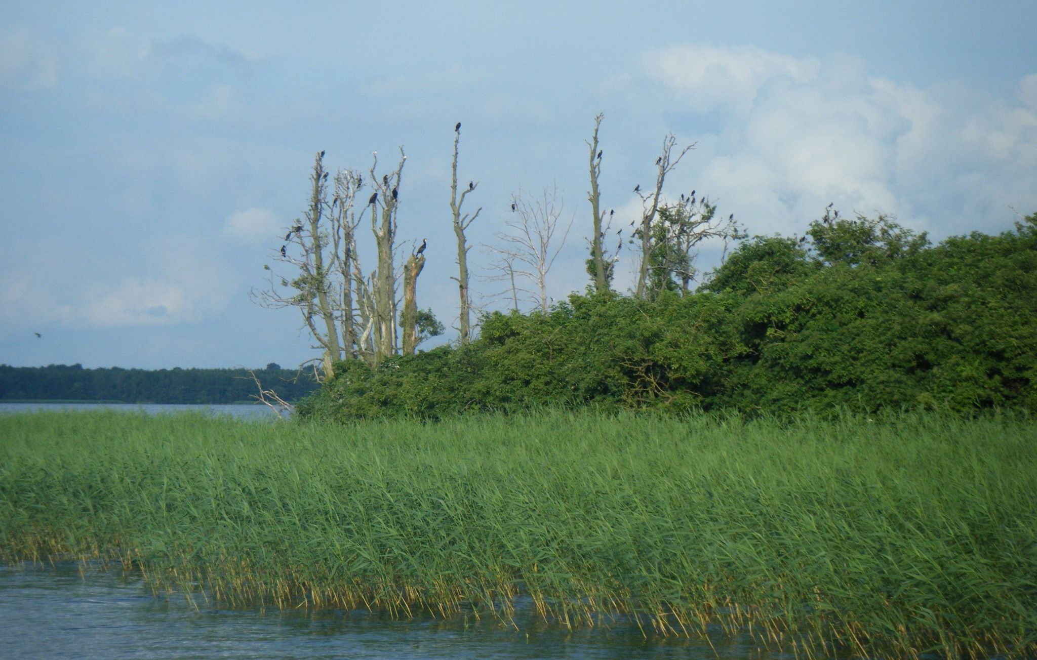 Wysoki Ostrów