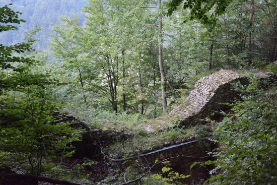 Ruiny Zamek Pieniny